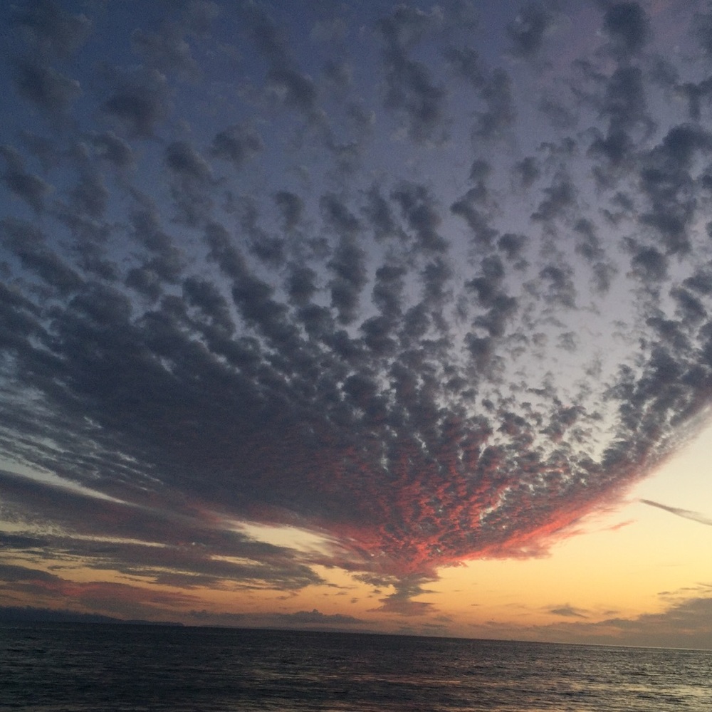 Meet your Posher, Valerie